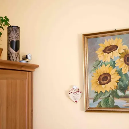 Kim * Шладмінг